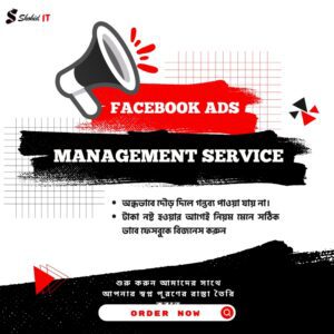 Facebook Ads Campaign Management Service